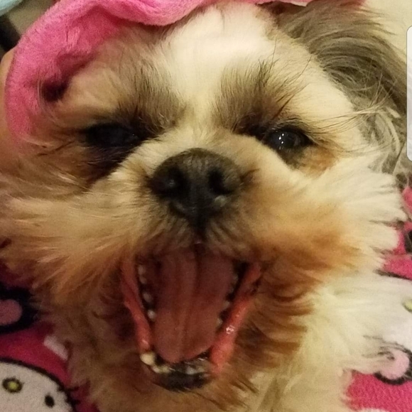 Lots of cute stuff!!😊😊 - Picture 8 of 12